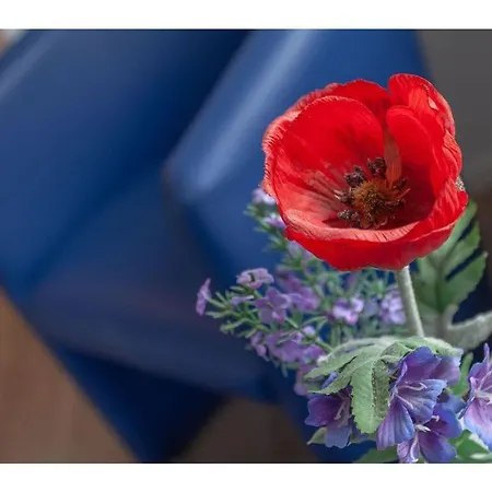 Great Freedom 36 Comfortable * Glowe